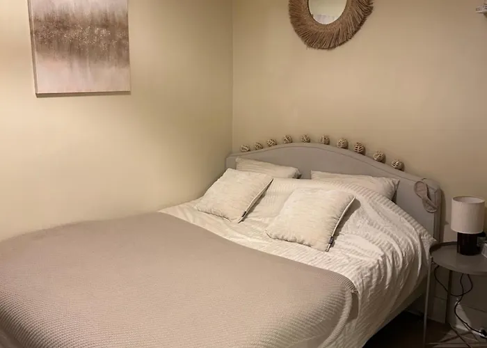 Studio Entierement Renove Avec Balcon Place De La Bastille